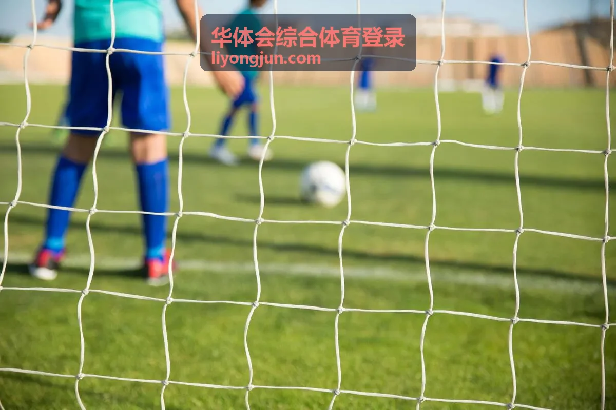 华体会综合体育登录第二步入口地址核对